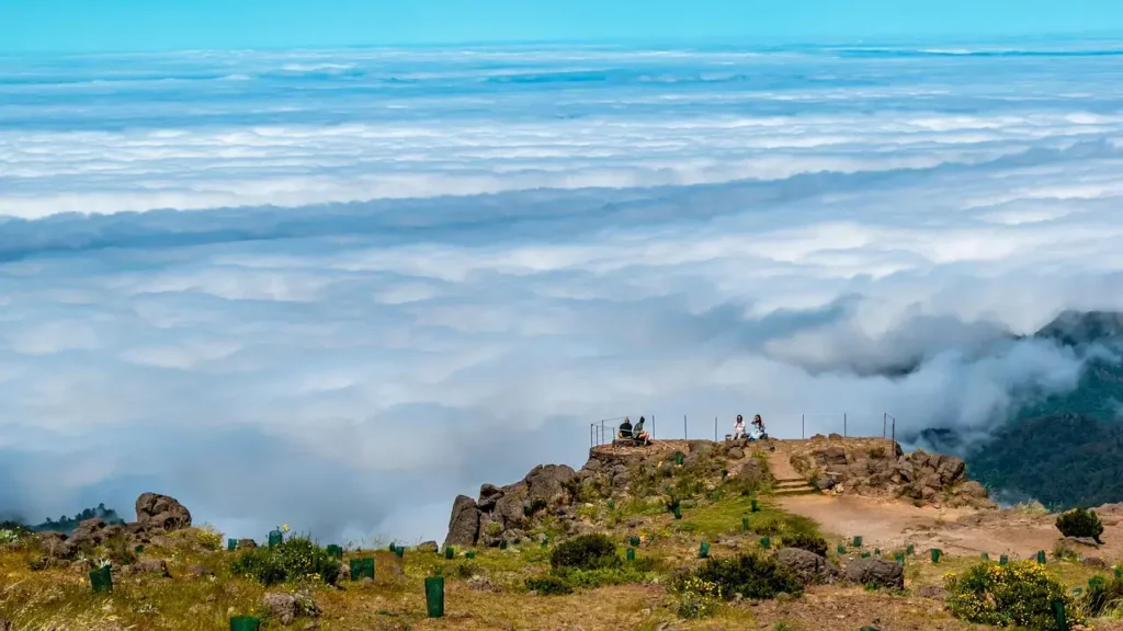 Madeira_obr.č.2