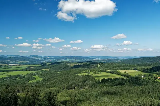 Šumava_obr_č2