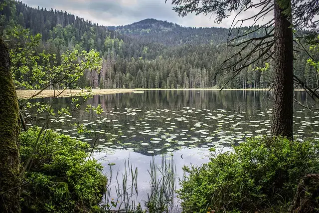 Šumava_obr_č3